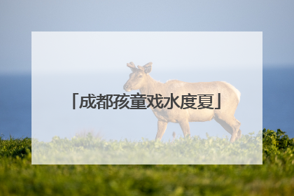 成都孩童戏水度夏