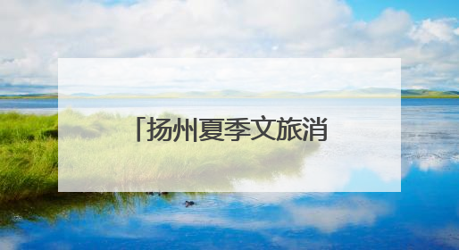 扬州夏季文旅消费推广季在沪上火热开启，诚邀上海及全国游客赴约“夏扬州”