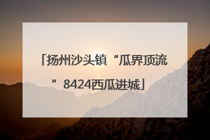 扬州沙头镇“瓜界顶流”8424西瓜进城