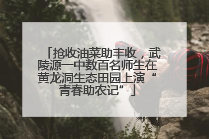 抢收油菜助丰收，武陵源一中数百名师生在黄龙洞生态田园上演“青春助农记”