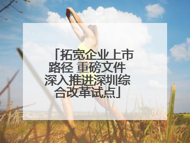 拓宽企业上市路径 重磅文件深入推进深圳综合改革试点
