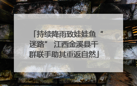 持续降雨致娃娃鱼“迷路” 江西金溪县干群联手助其重返自然