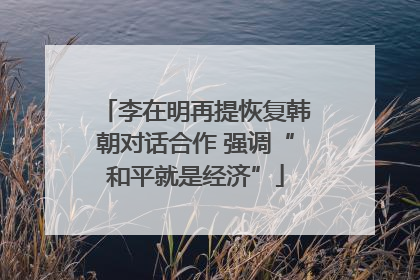 李在明再提恢复韩朝对话合作 强调“和平就是经济”