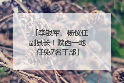 李银军、杨仪任副县长！陕西一地任免7名干部