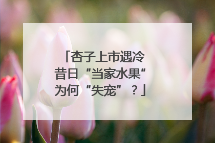 杏子上市遇冷 昔日“当家水果”为何“失宠”？