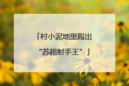 村小泥地里踢出“苏超射手王”