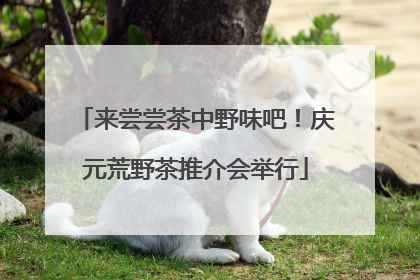 来尝尝茶中野味吧！庆元荒野茶推介会举行