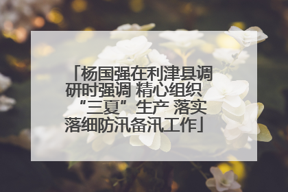 杨国强在利津县调研时强调 精心组织“三夏”生产 落实落细防汛备汛工作