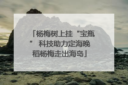 杨梅树上挂“宝瓶” 科技助力定海晚稻杨梅走出海岛
