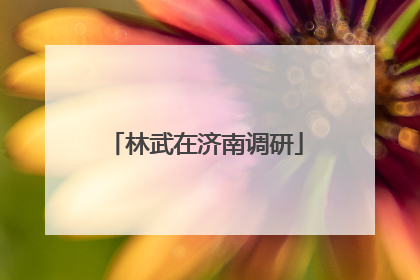 林武在济南调研