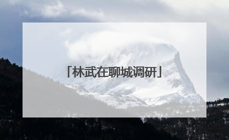 林武在聊城调研