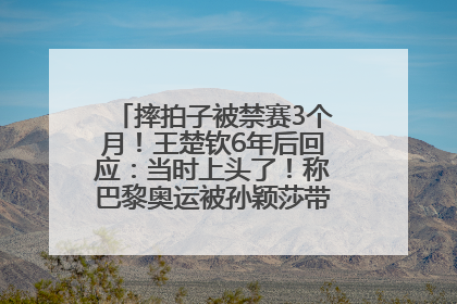 摔拍子被禁赛3个月！王楚钦6年后回应：当时上头了！称巴黎奥运被孙颖莎带着打，搭档8年“一个眼神就能懂”