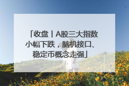 收盘丨A股三大指数小幅下跌，脑机接口、稳定币概念走强