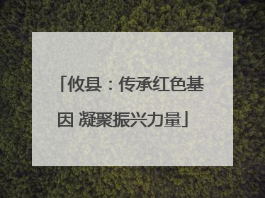 攸县：传承红色基因 凝聚振兴力量