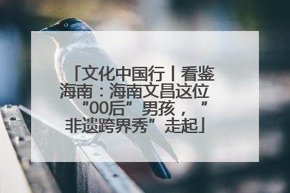 文化中国行丨看鉴海南：海南文昌这位“00后”男孩，“非遗跨界秀”走起