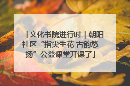 文化书院进行时｜朝阳社区“指尖生花 古韵悠扬”公益课堂开课了