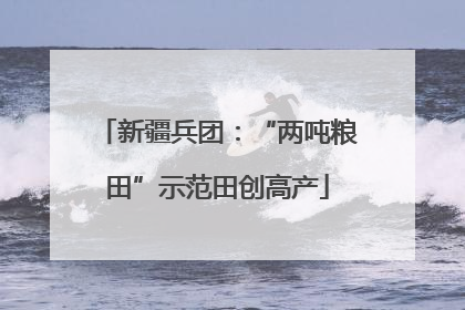 新疆兵团：“两吨粮田”示范田创高产