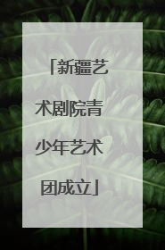 新疆艺术剧院青少年艺术团成立