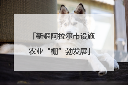 新疆阿拉尔市设施农业“棚”勃发展