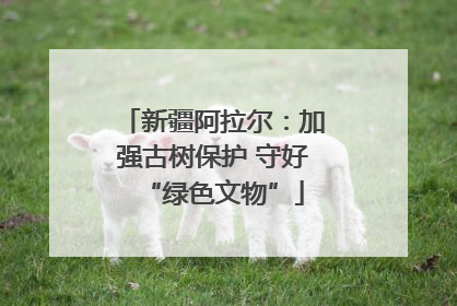 新疆阿拉尔：加强古树保护 守好“绿色文物”