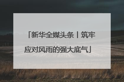 新华全媒头条丨筑牢应对风雨的强大底气