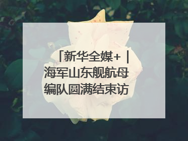 新华全媒+｜海军山东舰航母编队圆满结束访问离开香港