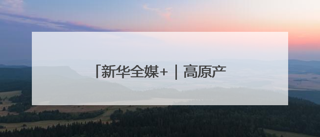 新华全媒+｜高原产品上“云”端——西藏电商发展一线观察