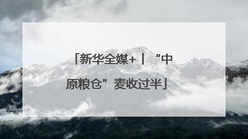 新华全媒+丨“中原粮仓”麦收过半