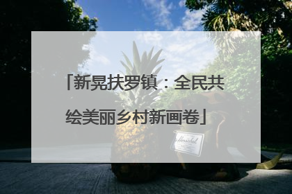 新晃扶罗镇：全民共绘美丽乡村新画卷