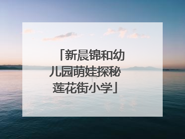 新晨锦和幼儿园萌娃探秘莲花街小学