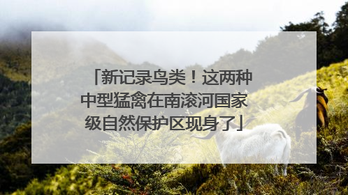 新记录鸟类！这两种中型猛禽在南滚河国家级自然保护区现身了