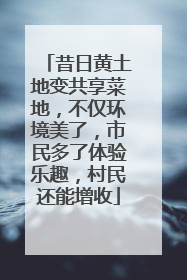 昔日黄土地变共享菜地，不仅环境美了，市民多了体验乐趣，村民还能增收