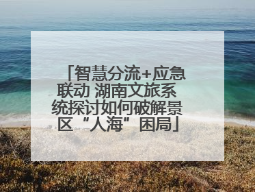 智慧分流+应急联动 湖南文旅系统探讨如何破解景区“人海”困局