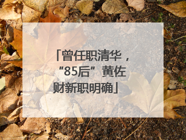 曾任职清华，“85后”黄佐财新职明确
