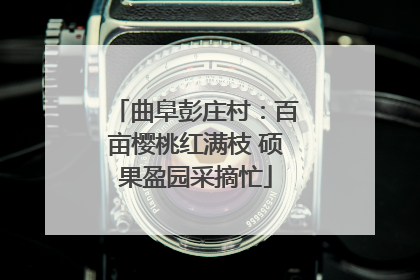曲阜彭庄村：百亩樱桃红满枝 硕果盈园采摘忙