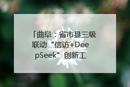 曲阜：省市县三级联动“信访+DeepSeek”创新工作新闻发布会举行