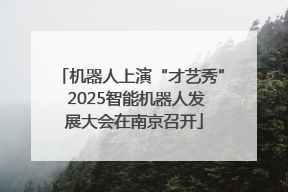 机器人上演“才艺秀” 2025智能机器人发展大会在南京召开