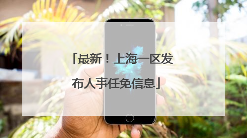 最新！上海一区发布人事任免信息