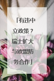 有违中立政策？瑞士扩大与欧盟防务合作