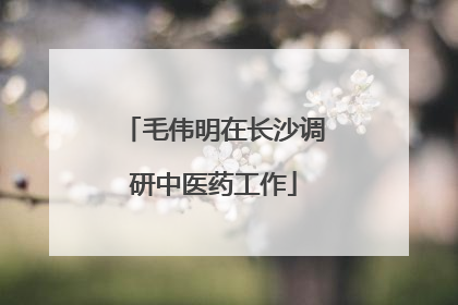 毛伟明在长沙调研中医药工作