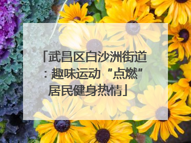 武昌区白沙洲街道：趣味运动“点燃”居民健身热情