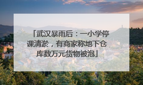 武汉暴雨后：一小学停课清淤，有商家称地下仓库数万元货物被泡