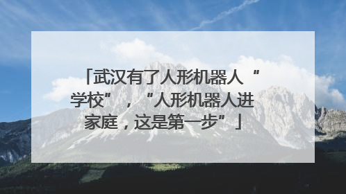 武汉有了人形机器人“学校”，“人形机器人进家庭，这是第一步”
