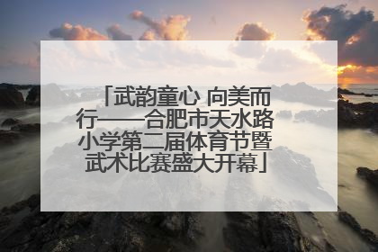 武韵童心 向美而行——合肥市天水路小学第二届体育节暨武术比赛盛大开幕