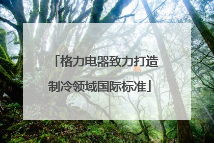 格力电器致力打造制冷领域国际标准