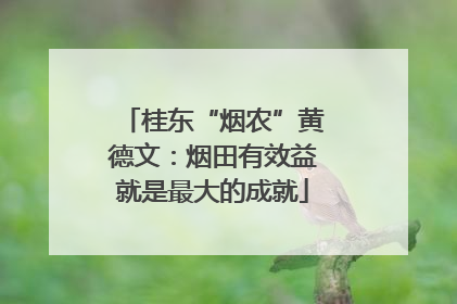 桂东“烟农”黄德文：烟田有效益就是最大的成就