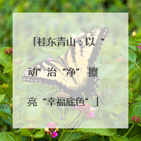 桂东青山：以“动”治“净” 擦亮“幸福底色”