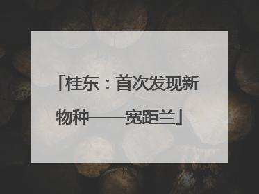 桂东：首次发现新物种——宽距兰