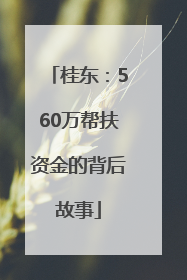 桂东：560万帮扶资金的背后故事