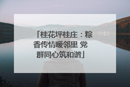 桂花坪桂庄：粽香传情暖邻里 党群同心筑和谐
